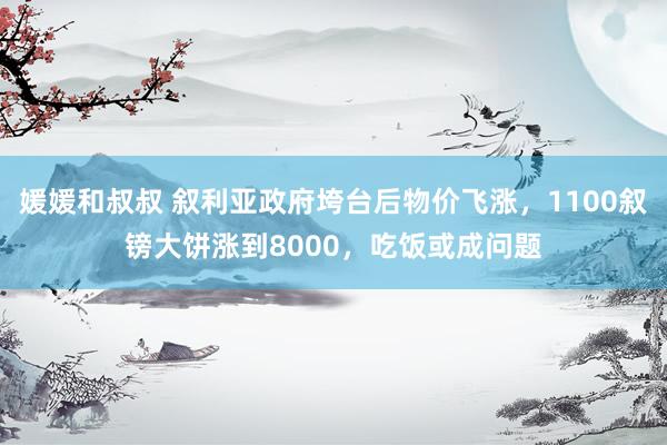 媛媛和叔叔 叙利亚政府垮台后物价飞涨，1100叙镑大饼涨到8000，吃饭或成问题