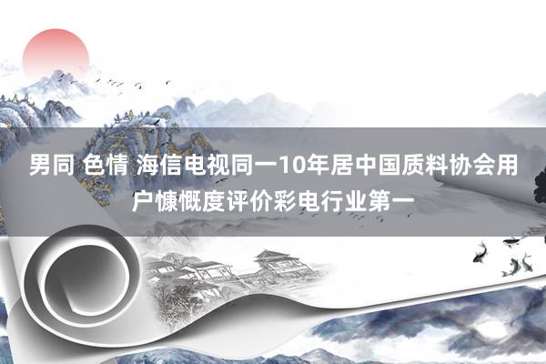 男同 色情 海信电视同一10年居中国质料协会用户慷慨度评价彩电行业第一
