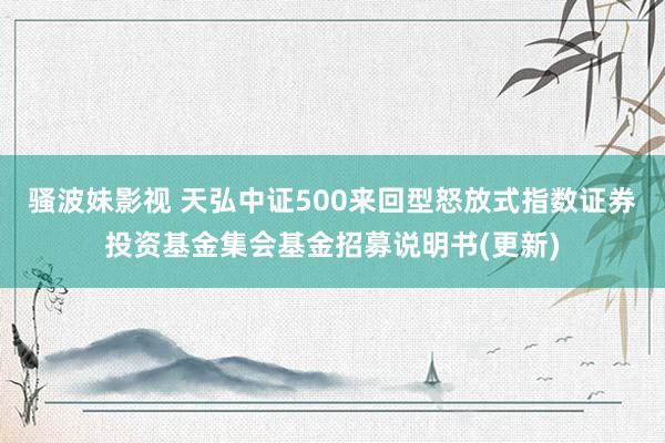 骚波妹影视 天弘中证500来回型怒放式指数证券投资基金集会基金招募说明书(更新)