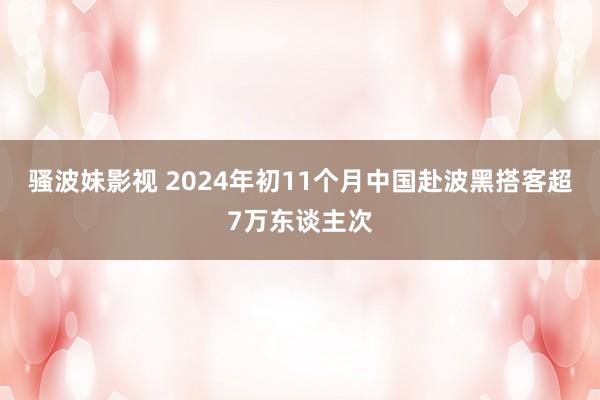 骚波妹影视 2024年初11个月中国赴波黑搭客超7万东谈主次