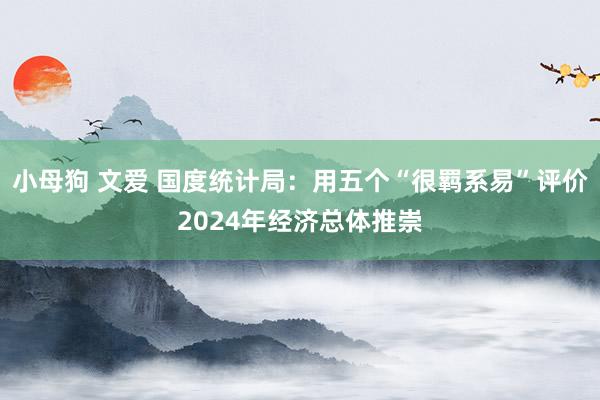 小母狗 文爱 国度统计局：用五个“很羁系易”评价2024年经济总体推崇