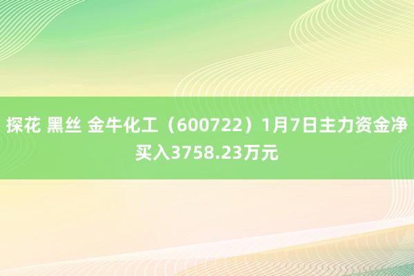 探花 黑丝 金牛化工（600722）1月7日主力资金净买入3758.23万元