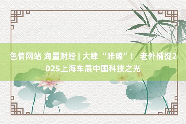 色情网站 海量财经 | 大肆 “咔嚓”！ 老外捕捉2025上海车展中国科技之光